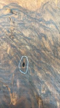 Preview: Body European Walnut 1-pc. Unique-Piece #027